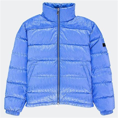 dior light blue puffer jacket|christian dior puffer jacket women's.